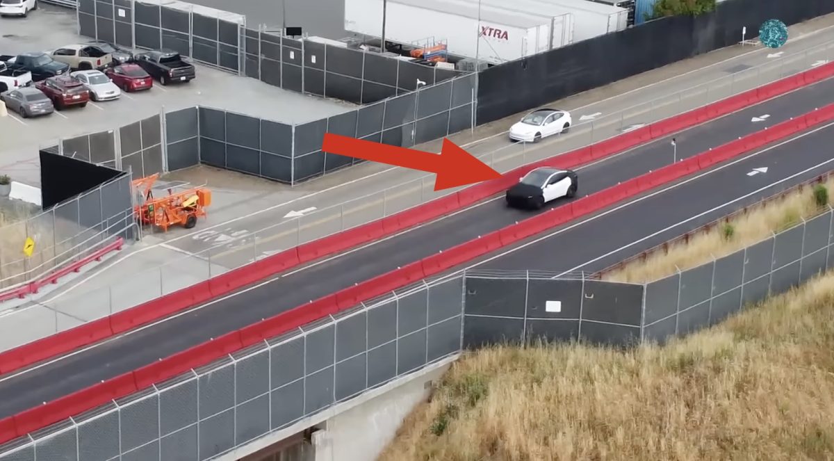 特斯拉 Tesla 特斯拉平價車 縮小版 Model Y