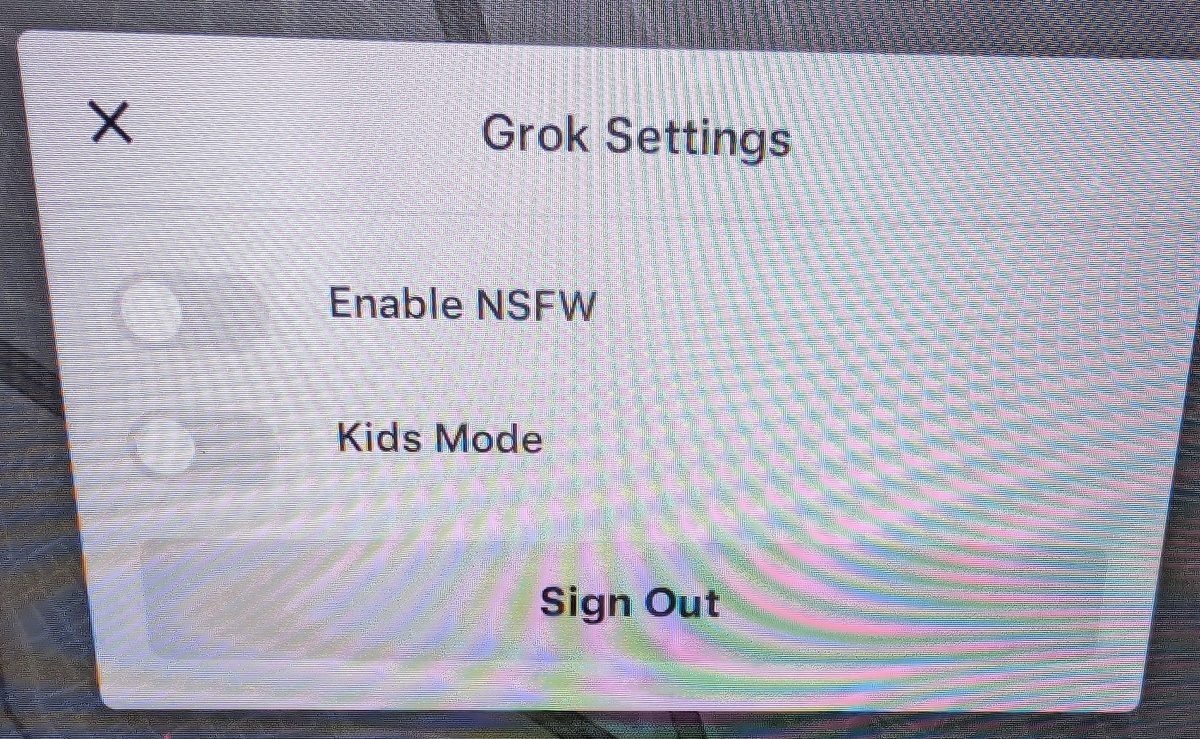 特斯拉 Tesla Grok