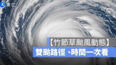 竹節草颱風動態