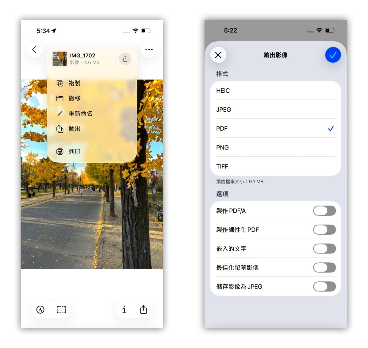 iOS iPadOS iOS 26 iPadOS 26 預覽 App 預覽 iPhone iPad