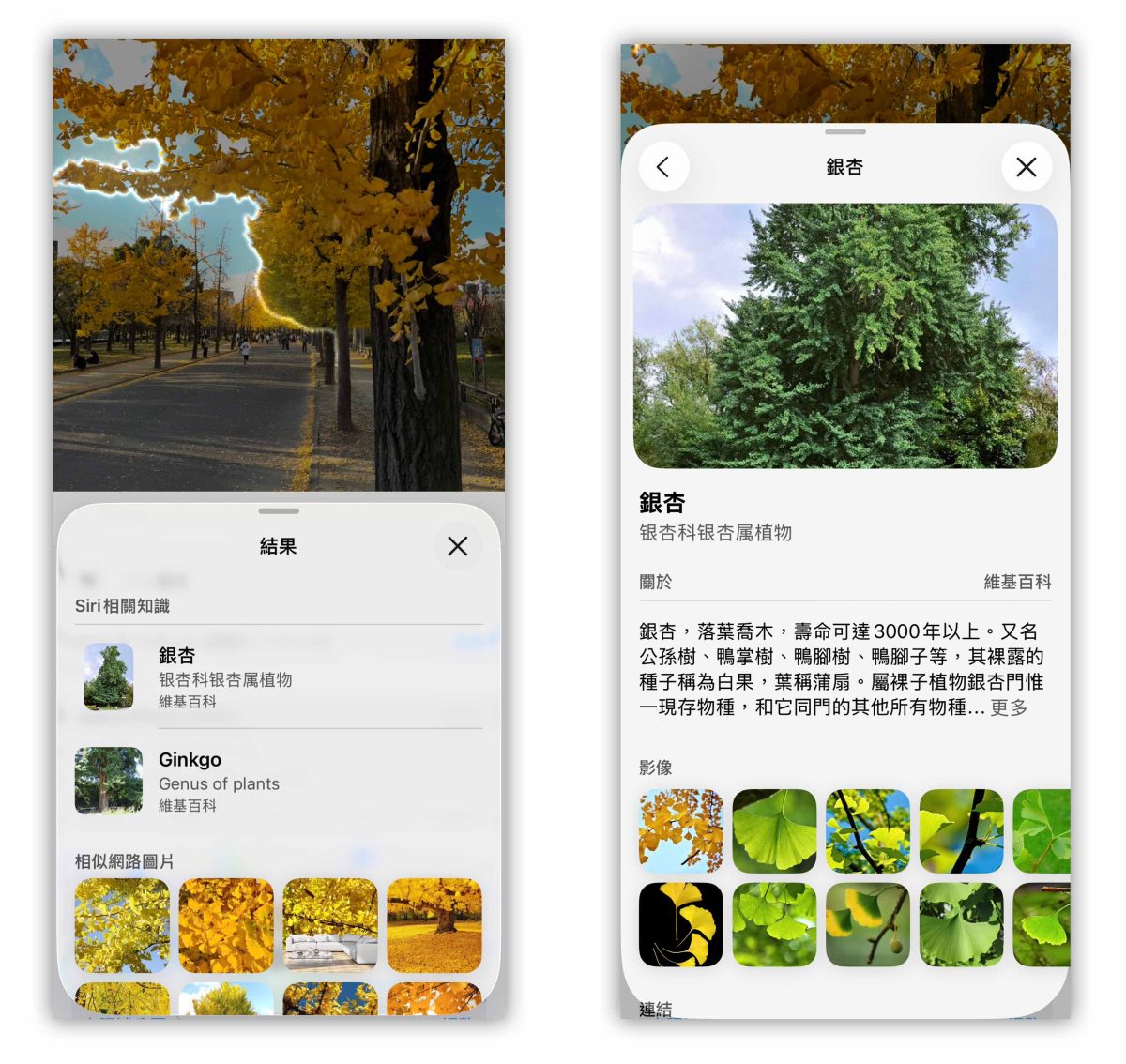 iOS iOS 26 iPhone iOS 26 圖像查詢 圖像查詢