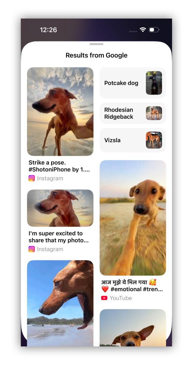 iOS iPhone iOS 26 Apple Intelligence Visual Intelligence 視覺智慧 視覺智慧螢幕搜尋 Visual Intelligence 螢幕搜尋