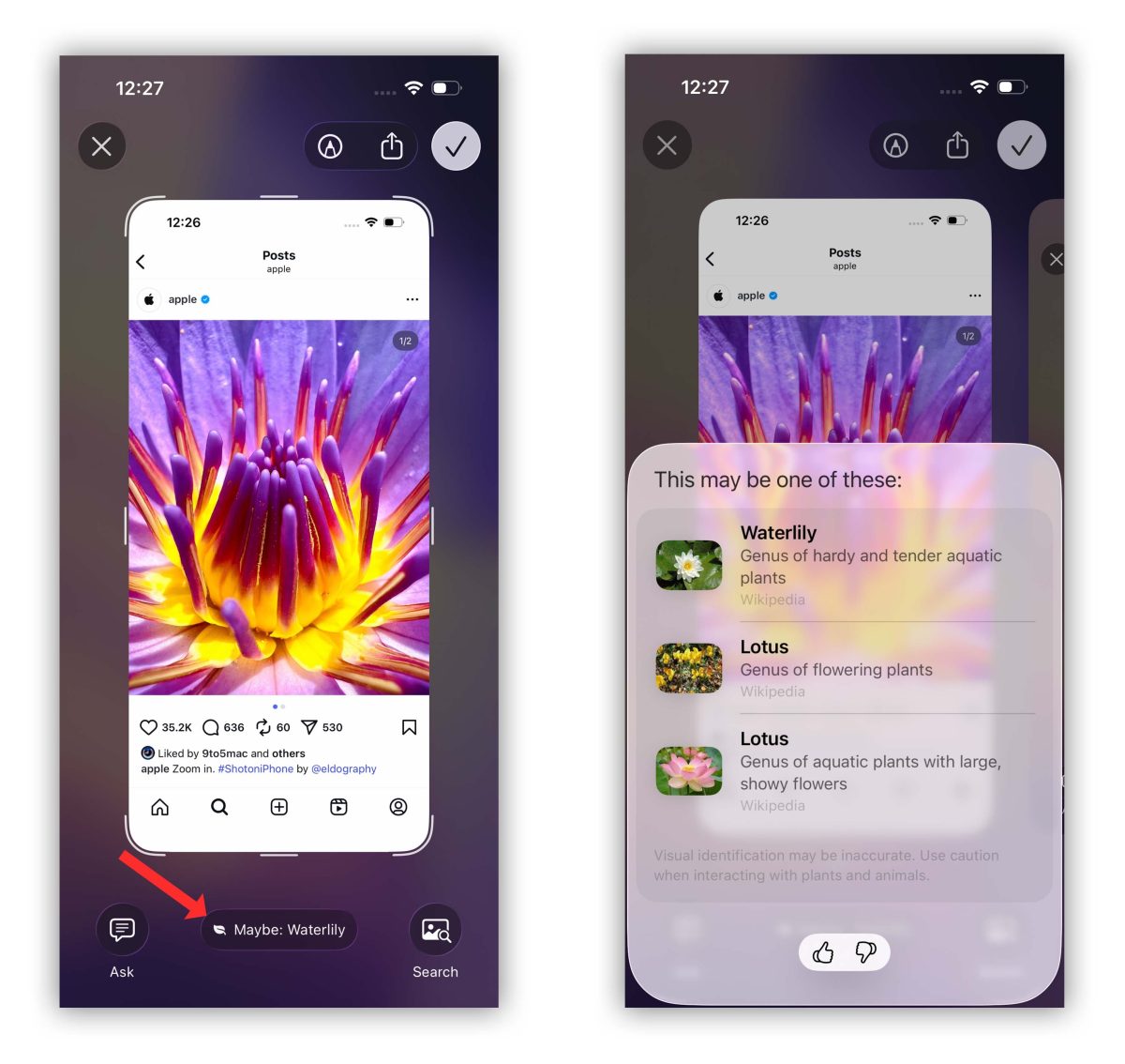 iOS iPhone iOS 26 Apple Intelligence Visual Intelligence 視覺智慧 視覺智慧螢幕搜尋 Visual Intelligence 螢幕搜尋