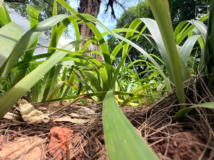 iPhone 17 Pro Air 開箱體驗 評測