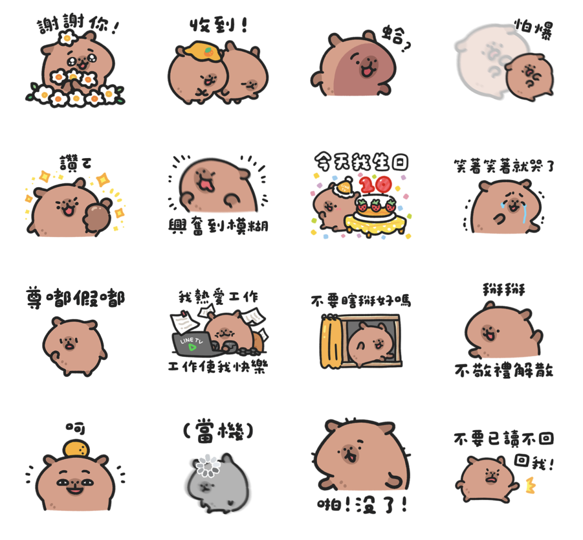 LINE TV｜小水豚豆仔 免費貼圖下載