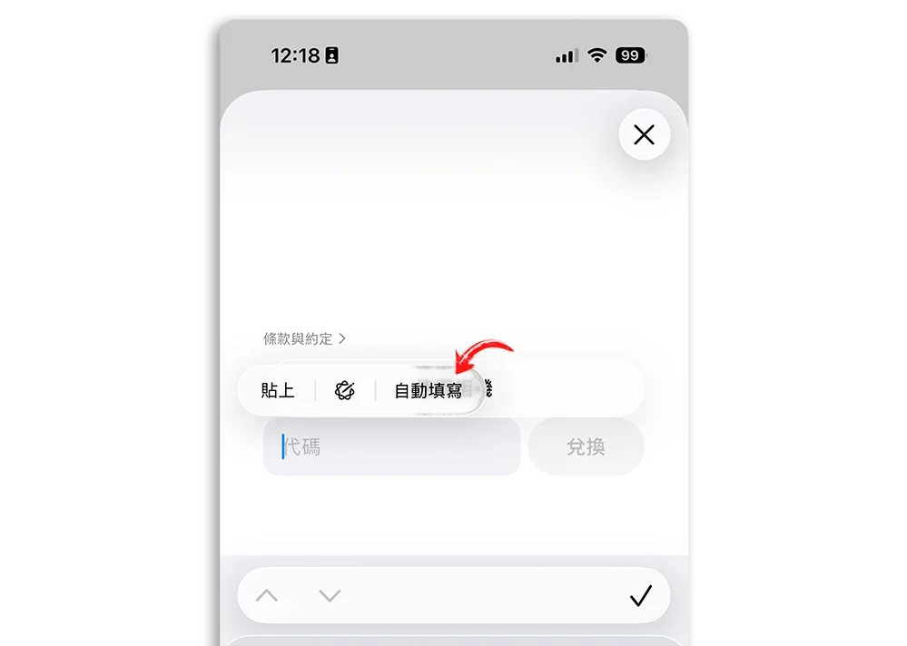 iPhone 自動填寫 掃描文字