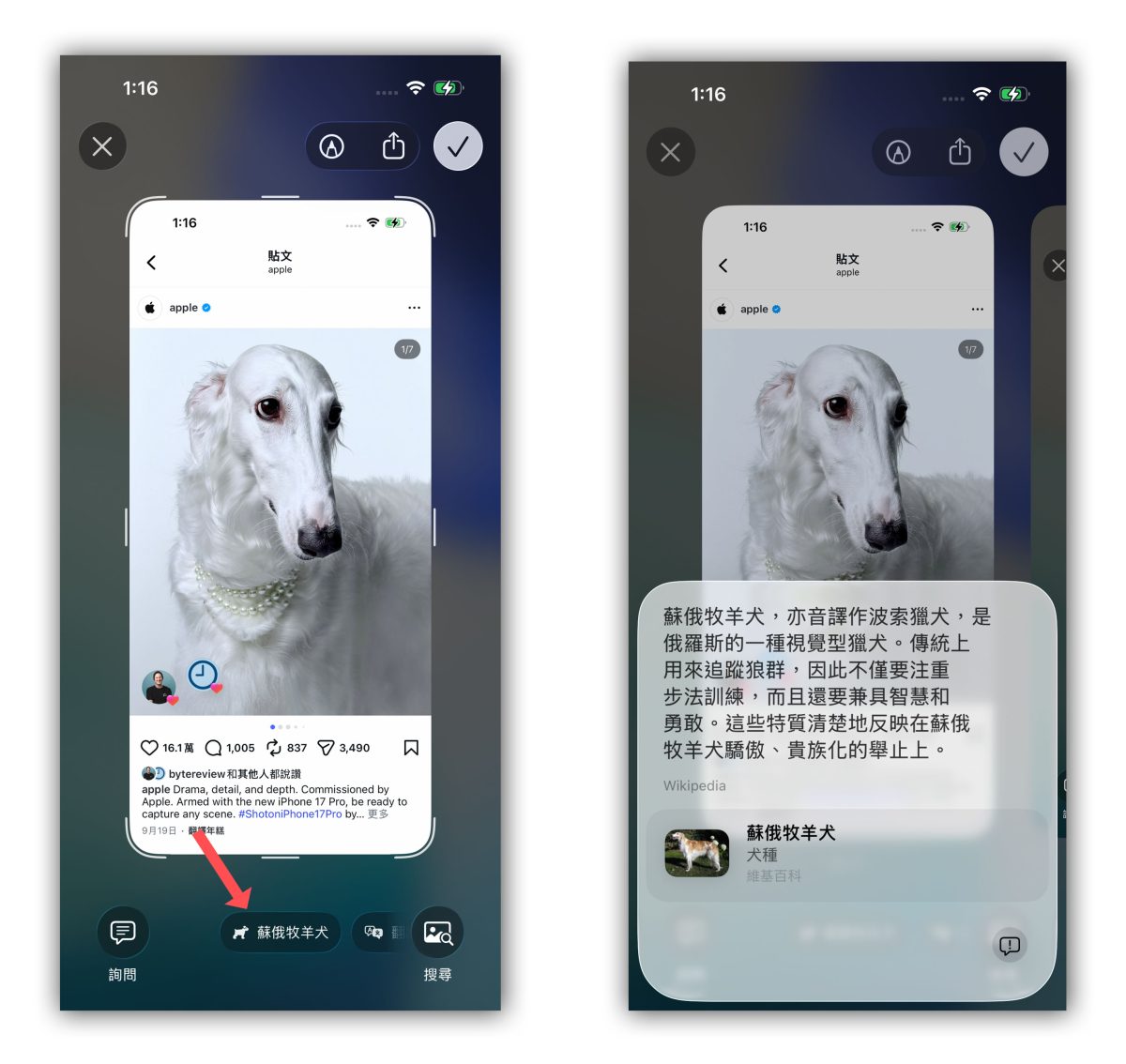 Apple Intelligence 視覺智慧 Visual Intelligence Apple Intelligence 視覺智慧