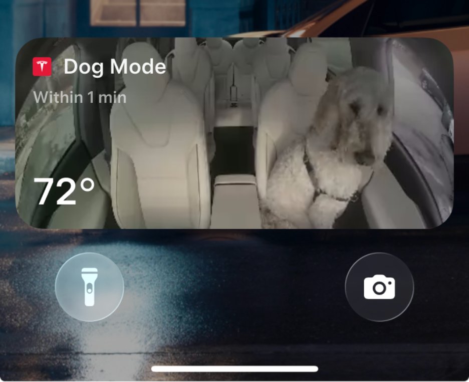 特斯拉 Tesla 聖誕假期更新 2025.48 版本更新 2025.48 聖誕假期更新