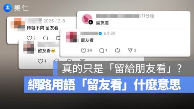 留友看 意思 梗圖 支語