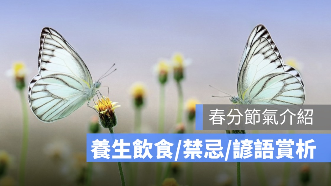 2026 春分節氣懶人包：6 大禁忌、養生飲食、諺語詩詞一次看
