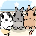 兔兔相隨 Appicon