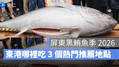 2026 屏東黑鮪魚季開跑！東港哪裡吃 3 個熱門推薦地點