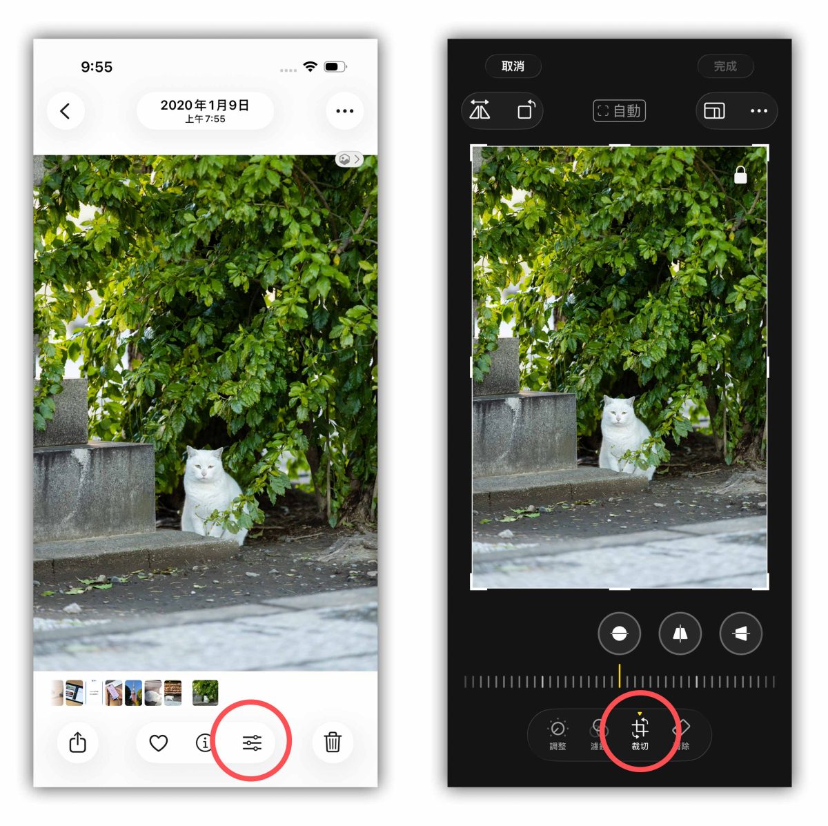 iPhone 桌布 iPhone 桌布比例調整