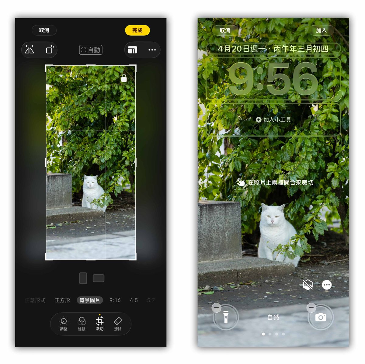 iPhone 桌布 iPhone 桌布比例調整