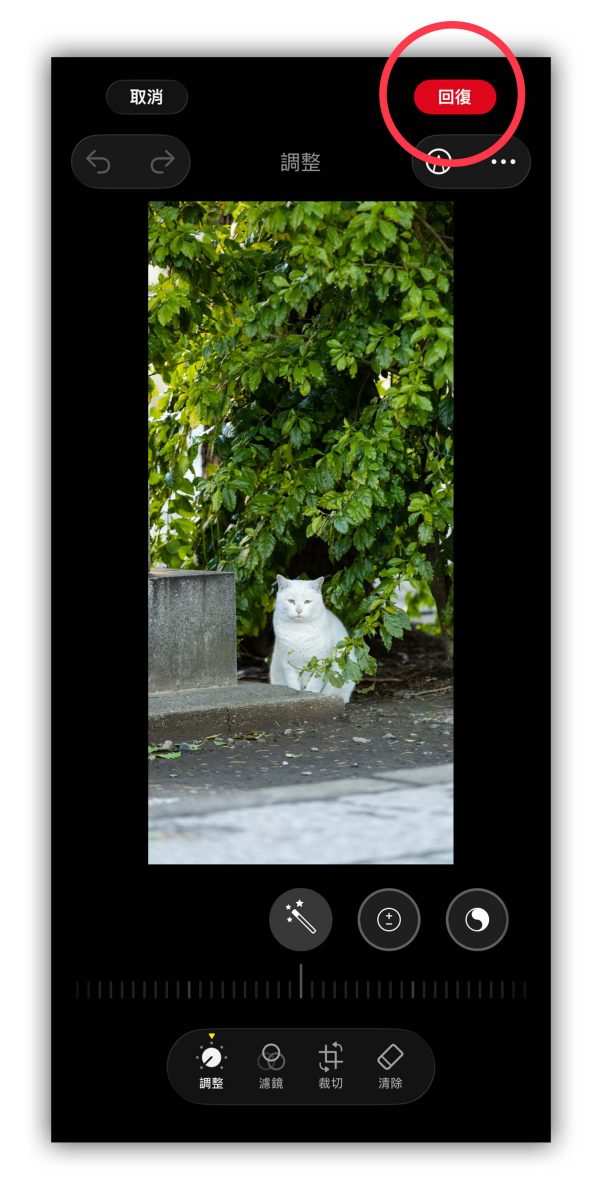 iPhone 桌布 iPhone 桌布比例調整
