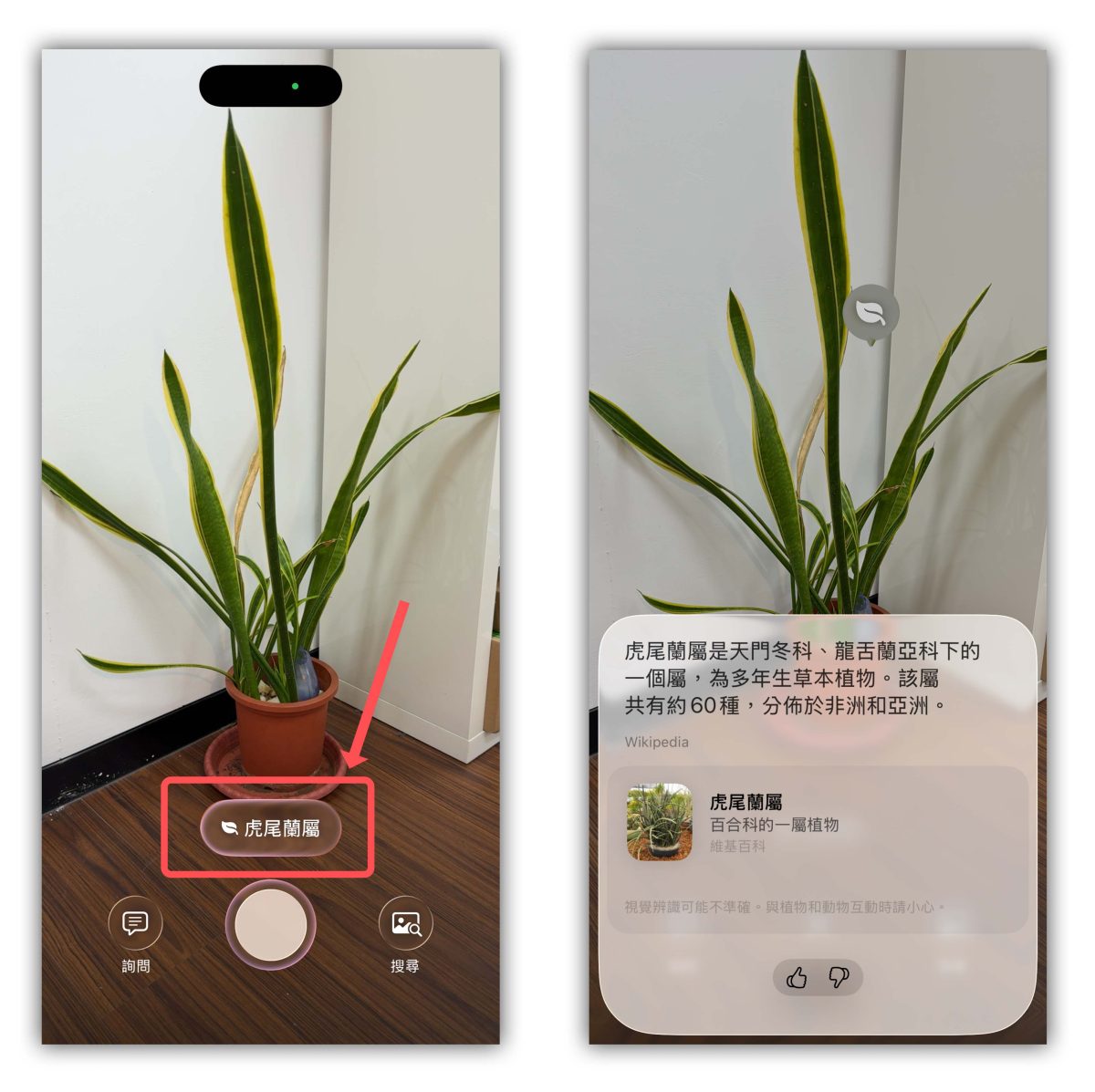 Apple Intelligence 視覺智慧 Apple Intelligence 視覺智慧 Visual Intelligence
