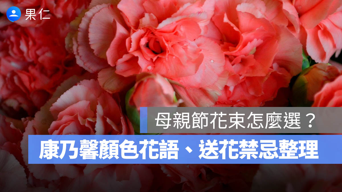 母親節花束怎麼選?康乃馨顏色、花語、價格行情與送花禁忌一次看