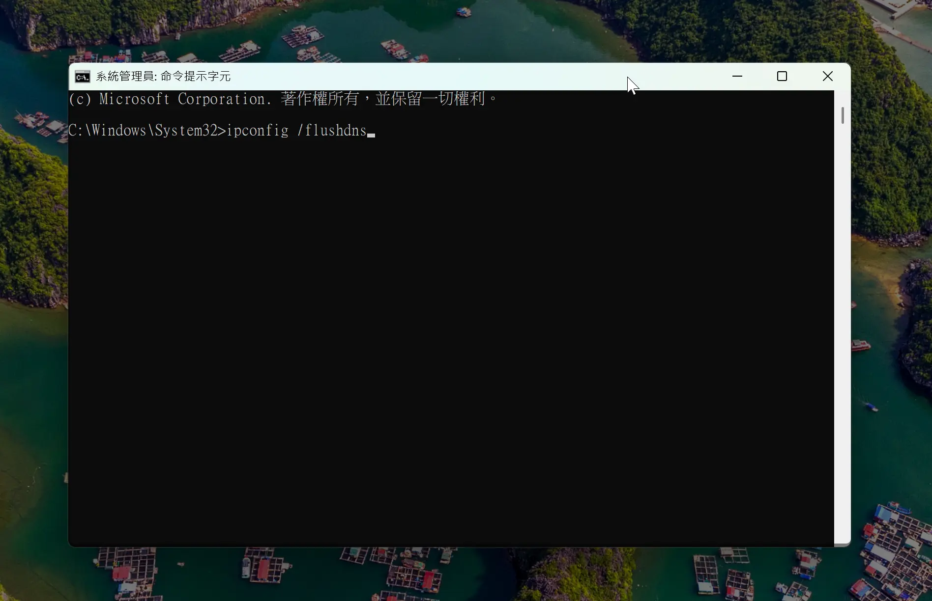 網路速度 DNS 更新 IP 清理