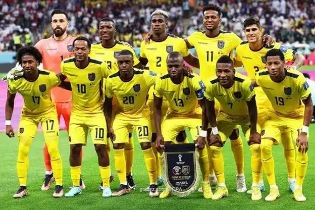 FIFA 世界盃 世足賽 賽程 隊伍 厄瓜多