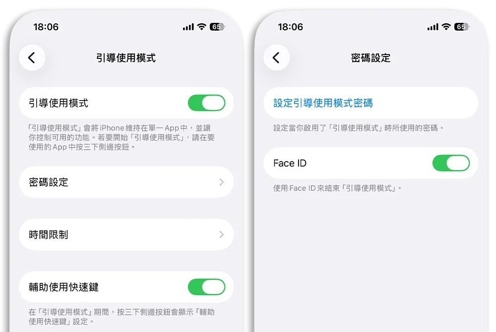 引導使用模式