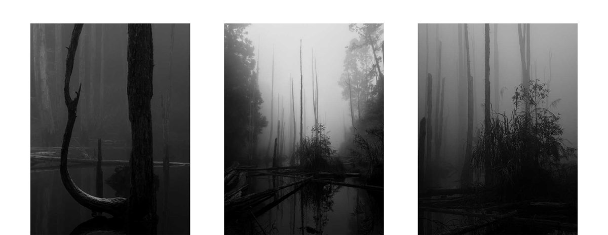 iPPA iPhone 攝影大獎 iPhone Photography Awards