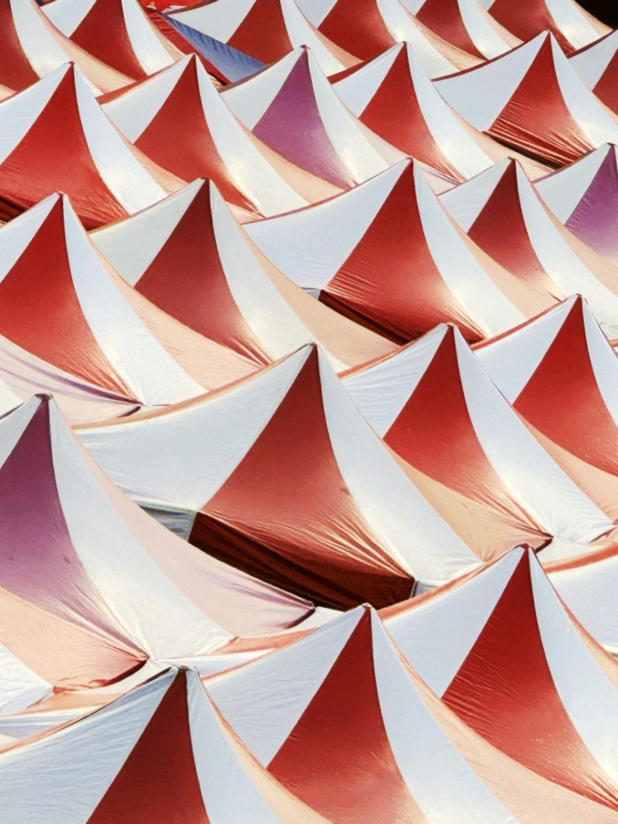 iPPA iPhone 攝影大獎 iPhone Photography Awards