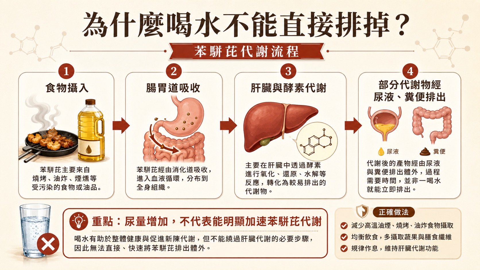 苯駢芘進入人體後的吸收代謝與排出流程